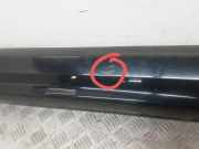 Schweller aus Kunststoff links