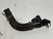 Schlauch Kühlung CITROËN C4 Picasso I (UD_) 1.6 HDi 9671124980
