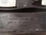 Motorabdeckung CITROËN C5 II Break (RE_) 2.0 16V (RERFJB, RERFJC) 9653373180