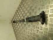 Stoßdämpfer hinten rechts ALFA ROMEO GIULIA (952_) 2.0 (952ABA25B) 005055966300