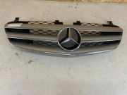 Gitter Grill vorne links MERCEDES-BENZ R (W251, V251) R 320 CDI 4-matic (251.022, 251.122) 133005