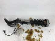 Front left pneumo shock absorber BMW X5 (F15, F85) xDrive 50 i 6875083