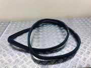 Türgummi rechts vorne Mercedes-Benz R-Klasse (W251) A2516970151