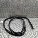 Türgummi links vorne Ford Focus III (DYB) BM51A20782BC