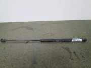 Gasfeder für Motorhaube Fiat Stilo (192)