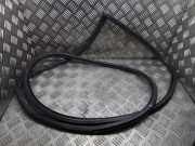 Türgummi rechts vorne Lexus RX 4 (L2)