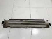Ladeluftkühler FIAT DUCATO Furgon (250_, 290_) 120 Multijet 2,3 D 1340683080