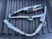 SRS Modul Dach links AUDI A6 Avant (4F5, C6) 2.0 TFSI 75100401 TRW30353408