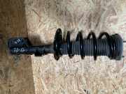 Stoßdämpfer vorne rechts VW CRAFTER Furgon (SY_) 2.0 TDI RWD 2N0413031BJ