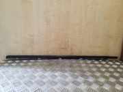 Zier-/Schutzleiste für Türscheibe Nissan Qashqai II (J11)