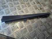 Schwellerinnenverkleidung vorne links