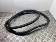 Türgummi links hinten Mercedes-Benz A-Klasse (W176) A1766920176