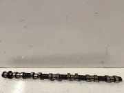 Nockenwelle BMW X5 (E53) 3.0 d 7788781