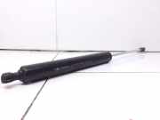 Heckklappe Gasdruckfeder rechts RENAULT VEL SATIS (BJ0_) 3.0 dCi (BJ0J, BJ0N) 8200238420