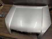 Motorhaube TOYOTA LAND CRUISER 120 (_J12_) 3.0 D-4D (KDJ120, KDJ125)