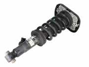 Stoßdämpfer hinten rechts