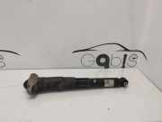 Stoßdämpfer hinten links AUDI Q4 Sportback (F4N) 50 e-tron 1EA512013AK