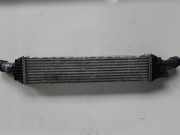 Ladeluftkühler Audi A4 (8K, B8) 8K0145805G