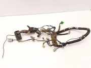 Kabel der vorderen linken Tür