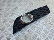 Blende Nebelscheinwerfer Mercedes-Benz A-Klasse (W169) A1698870525