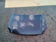 Motorhaube TOYOTA AVENSIS Estate (_T25_) 2.2 D-CAT (ADT251_)