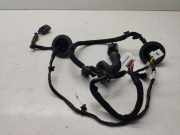 Türverkabelung hinten links HYUNDAI TUCSON (TL, TLE) 2.0 CRDi 919823S000