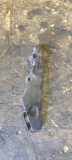 Stoßstangenhalter vorne links TOYOTA AVENSIS Sedan (_T27_) 2.0 D-4D (ADT270_) 5257805030