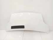 Motorhaube OPEL VIVARO Furgon (F7) 2.0 16V