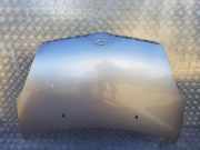 Motorhaube TOYOTA YARIS VERSO (_P2_) 1.4 D-4D (NLP20_, NLP22_)