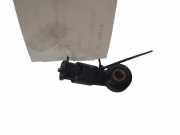 Klopfsensor Citroen DS3 (SA)