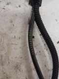 Einlassventil Audi A6 Avant (4F, C6) ABE03G906433A