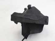 Luftfiltergehäuse Renault Clio III (BR0/1, CR0/1) 8200309636
