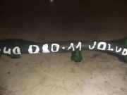 Kraftstoffleitung Volvo V40 Schrägheck (525, 526) 1313040