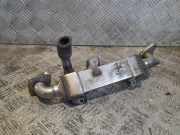 Abgaskühler Ford Galaxy (CK) 038131513L