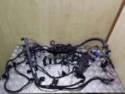 Motor Kabelbaum BMW X5 (E70) 3.0 d 1251780226401 779966204