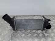 Ladeluftkühler Peugeot 307 SW () 9646694680