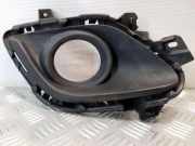 Nebelscheinwerferverkleidung