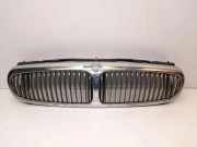 Gitter JAGUAR X-TYPE (X400) 2.2 D 1X435510AE