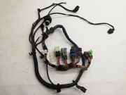 Kabelbaum BMW X6 (F16, F86) 738080805