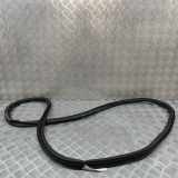 Türdichtungsgummi hinten links AUDI Q4 SUV (F4B) 40 e-tron 89A833721