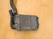 Ladeluftkühler Citroen Jumper I Kasten (230L) 0384G8