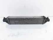 Ladeluftkühler FIAT BRAVO II (198_) 1.6 D Multijet 866455500