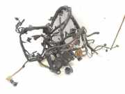 Motor Kabelbaum RENAULT LAGUNA II (BG0/1_) 2.0 dCi (BG1T) 8200639901