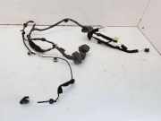 Kabel der vorderen linken Tür RENAULT CLIO IV Grandtour (KH_) 1.5 dCi 90 241255330R