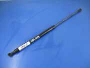 Heckklappendämpfer links Fiat Panda (141)