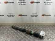 Stoßdämpfer rechts hinten Suzuki Grand Vitara II (JT, TD, TE) 4170065J00