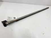 Türverkleidung rechts hinten Citroen C5 III (RD)