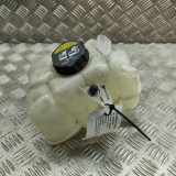 Ausgleichsbehälter VOLVO V90 II T8 Plug-in Hybrid AWD 31338291