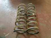 Schraubenfeder hinten links