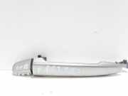 Türgriff links hinten Toyota Land Cruiser (J12)